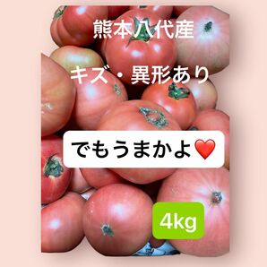 熊本八代産の塩混じりトマト　4キロ