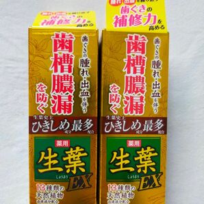 生葉 薬用歯磨き EX 100g