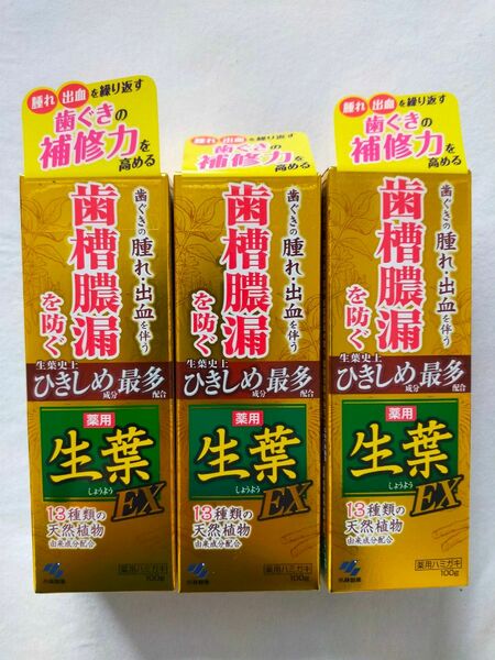 生葉 薬用歯磨き EX 100g