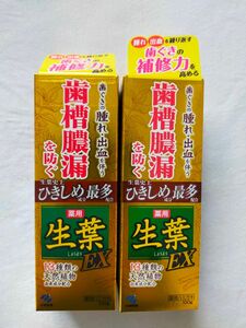 生葉 薬用歯磨き EX 100g