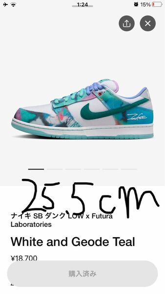 Nike SB Dunk Low × Futura Labolatories