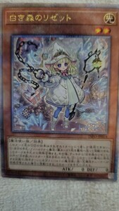 遊戯王　白き森のリゼット　クォーターセンチュリーシークレット