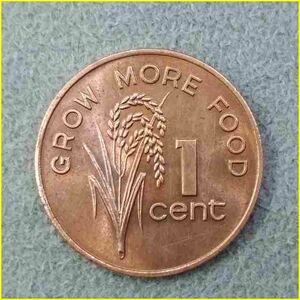 【フィジー 1セント 硬貨/1979年】 FIJI/1 CENT/銅貨/エリザベス2世/コイン/古銭