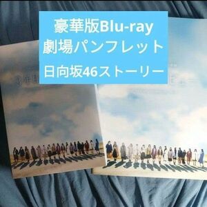 日向坂46 3年目のデビュー 豪華版Blu-ray・劇場パンフレット・日向坂46ストーリー セット