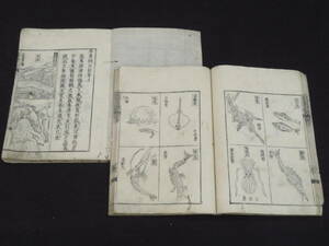  insect * fish . illusion. living thing .![book@.. eyes map volume * top and bottom ]. dragon phoenix .. Edo period . entering peace book@ inspection ) traditional Chinese medicine acupuncture moxibustion Oriental medicine middle medicine .. Tang book@. thing .... version 