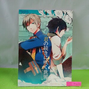 M5h-090 同人誌 君の続きに咲く世界 チャプター14後~エルED後までの話 テイルズ オブ エクシリア2 【ルドガー＋ジュード】ファンブック