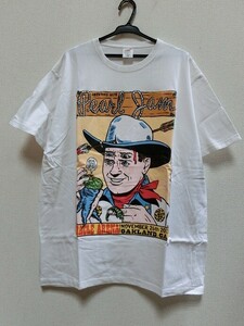 T【ロ4-36】【60サイズ】▲Pearl Jam パールジャム/2013 ツアー限定 バンドTシャツ/半袖/XLサイズ/※シミ有