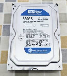 ∨250GB ｜3.5インチ SATA 内蔵型 ハードディスク｜Western Digital ウェスタンデジタル WD2500AAKX ｜内臓 HDD フォーマット済み■O5410