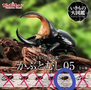 ■ヤマトカブトムシ(赤褐色)■かぶとむし05 いきもの大図鑑 BANDAI ガシャポン 未開封