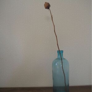 昭和レトロ ガラス瓶 薬瓶 ヴィンテージ カフェ フラワーベース 花瓶 アンティーク 古道具 骨董