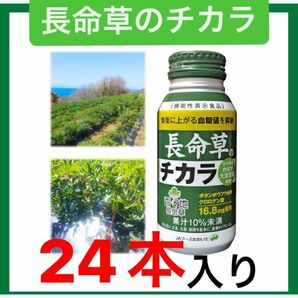 健康飲料"長命草のチカラ"1箱(24本)