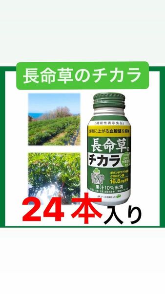 健康飲料"長命草のチカラ"1箱(24本)