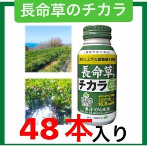 健康飲料"長命草のチカラ"2箱セット(計48本)