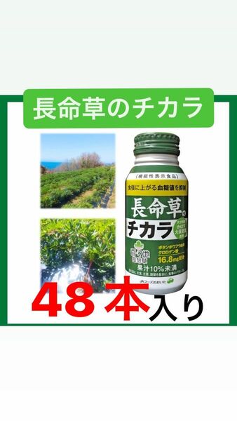 健康飲料"長命草のチカラ"2箱セット(計48本)