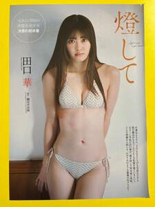 PB 1★田口華★切り抜き9P 元さくら学院 プレイボーイ 2024 送料120円～