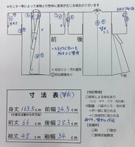 着物cocon★色無地　夏物　絽　身丈163.5　裄66　一ツ紋　正絹　単衣　緑系　豆がら茶系　【5-10-3K-0357-j】_画像10