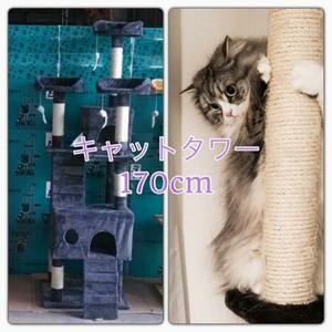  cat tower 170cm cat tower wide .. put type navy ( dark blue ) new goods 