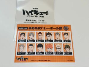 ゴミ捨て場の決戦 選手名鑑風ブロマイド 劇場版 劇場版ハイキュー 烏野 入場者特典 ハイキュー