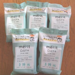 merit DAY＋ ドライシャンプーシート12枚入5個セット