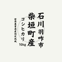 令和５年度米/石川県能登産こしひかり/精米10kg_画像3