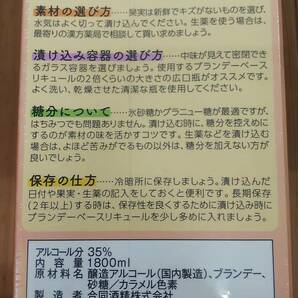 オエノン おいしい果実酒つくりましょう1800mlパック6本入り1ケース ブランデーベースリキュールの画像3