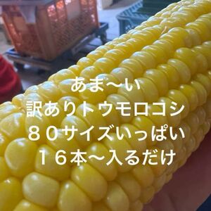 訳ありトウモロコシ