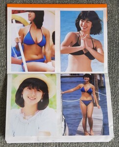 河合奈保子さんの写真(Lサイズ44枚)とアルバム