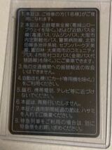 近鉄 株主優待乗車証 男性名義 定期券式 2024年11月30日まで ゆうパック送料無料_画像2