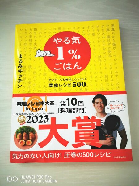 やる気1％ごはん テキトーでも美味しくつくれる悶絶レシピ500 送料無料