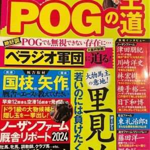 POGの王道 ペーパーオーナーゲーム徹底攻略ガイド 2024-2025年版