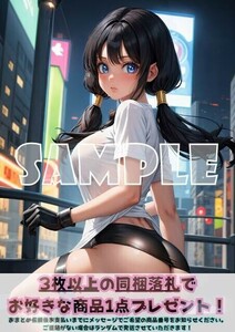 Z1061 ビーデル ドラゴンボールZ DRAGON BALL Z DBZ A4 同人 イラスト 巨乳 美少女 コスプレ Anime アニメ ポスター セクシーアート AI.