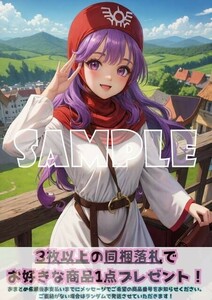 Z1669 ムーンブルクの王女 ドラゴンクエストⅡ DQ2 ドラクエ2 A4 同人 イラスト 美少女 コスプレ Anime アニメ ポスター セクシーアート