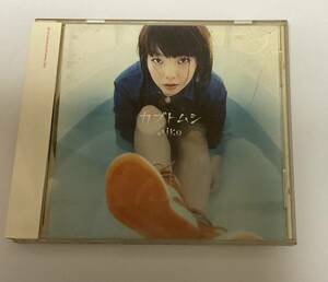 Aiko カブトムシ