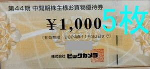 最新のビックカメラ株主優待券5000円分