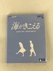 ☆未使用品☆【未開封】BD 海がきこえる VWBS8234 ウォルト・ディズニー