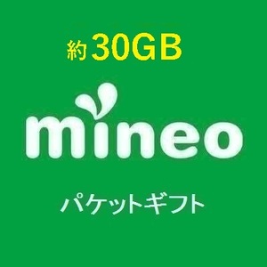 mineo マイネオ　パケットギフト コード 約 30GB 9999MB×3