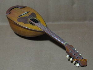  most [ old mandolin 1968 year N228 Suzuki violin made ]