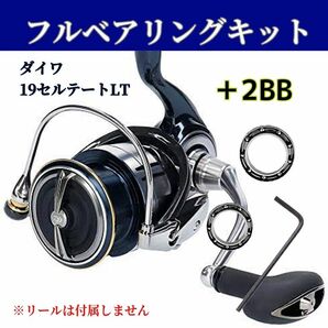 19セルテートLT フルベアリングキット MAX12BB ダイワ DAIWA 防錆