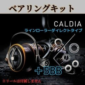 21カルディア フルベアリングキット【ラインローラーダイレクトタイプ】 調整用シム付き DAIWA 防錆