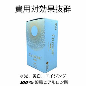 セルソームアクア　ヒアルロン酸　水光、美白、シワ、エイジング　セルフキット付　１本　