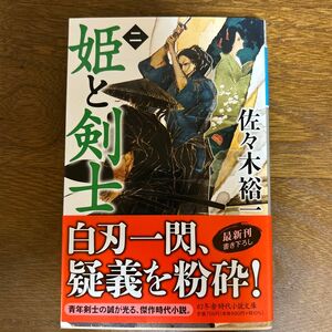 姫と剣士　２ （幻冬舎時代小説文庫　さ－３４－８） 佐々木裕一／〔著〕