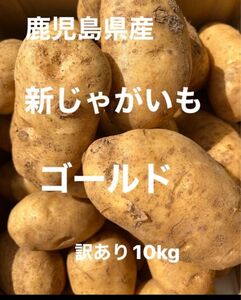 ゴールド訳あり10kg鹿児島県産新じゃが！ホクホクの美味しさ！！(^○^)