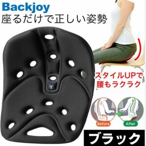 新品BackJoy(バックジョイ) 骨盤サポートシート リリーフ レギュラーサイズ ブラック