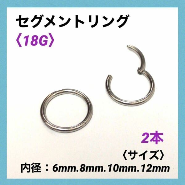 2本　セグメントリング　18G内径6mm ボディピアス