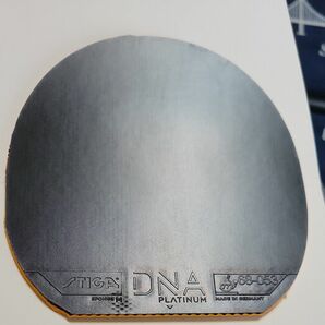 スティガ　DNA PLATINUM M　特厚　 黒