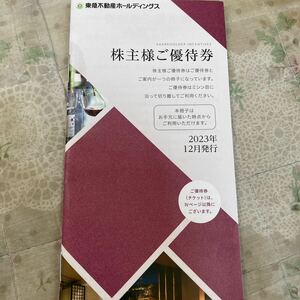 東急不動産 株主優待　一冊　東急不動産ホールディングス 2024年8月31日まで　ホテルハーヴェスト冊子