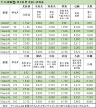 [5-40]桃太郎電鉄号 HUDSON 鉄道模型 土佐電氣鐵道(株)600型_画像6