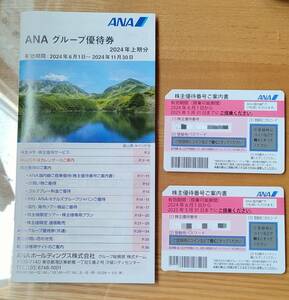 ANA株主優待券×２枚　最新　有効期間2023年12月1日～2024年11月30日まで　ANAグループ優待券おまけ付き送料無料 未使用