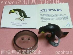 北陸製菓 海洋堂 ペンギンズランチ 4 イワトビペンギン