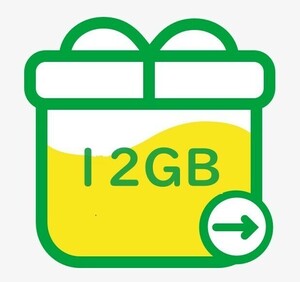 mineo パケットギフトコード 12GB (6000MB×2)◆10GB超 ◆9999MB超